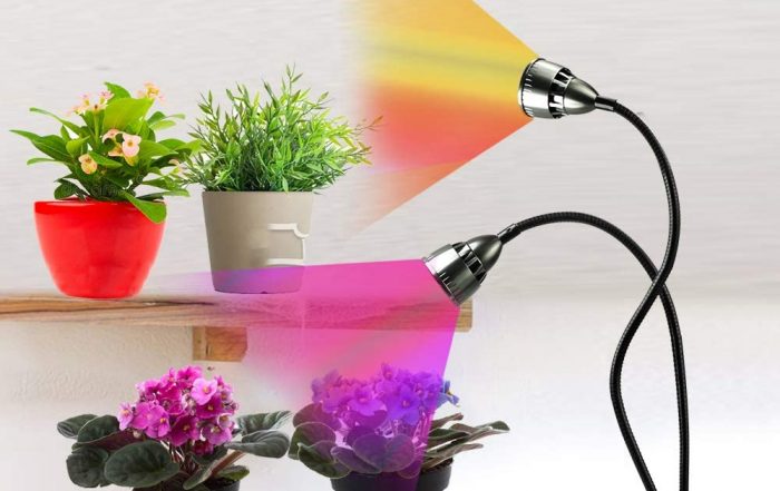 Indoor Plants Grow Lights